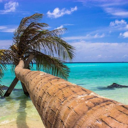 Ci-Ritorno View Otel Maafushi Dış mekan fotoğraf