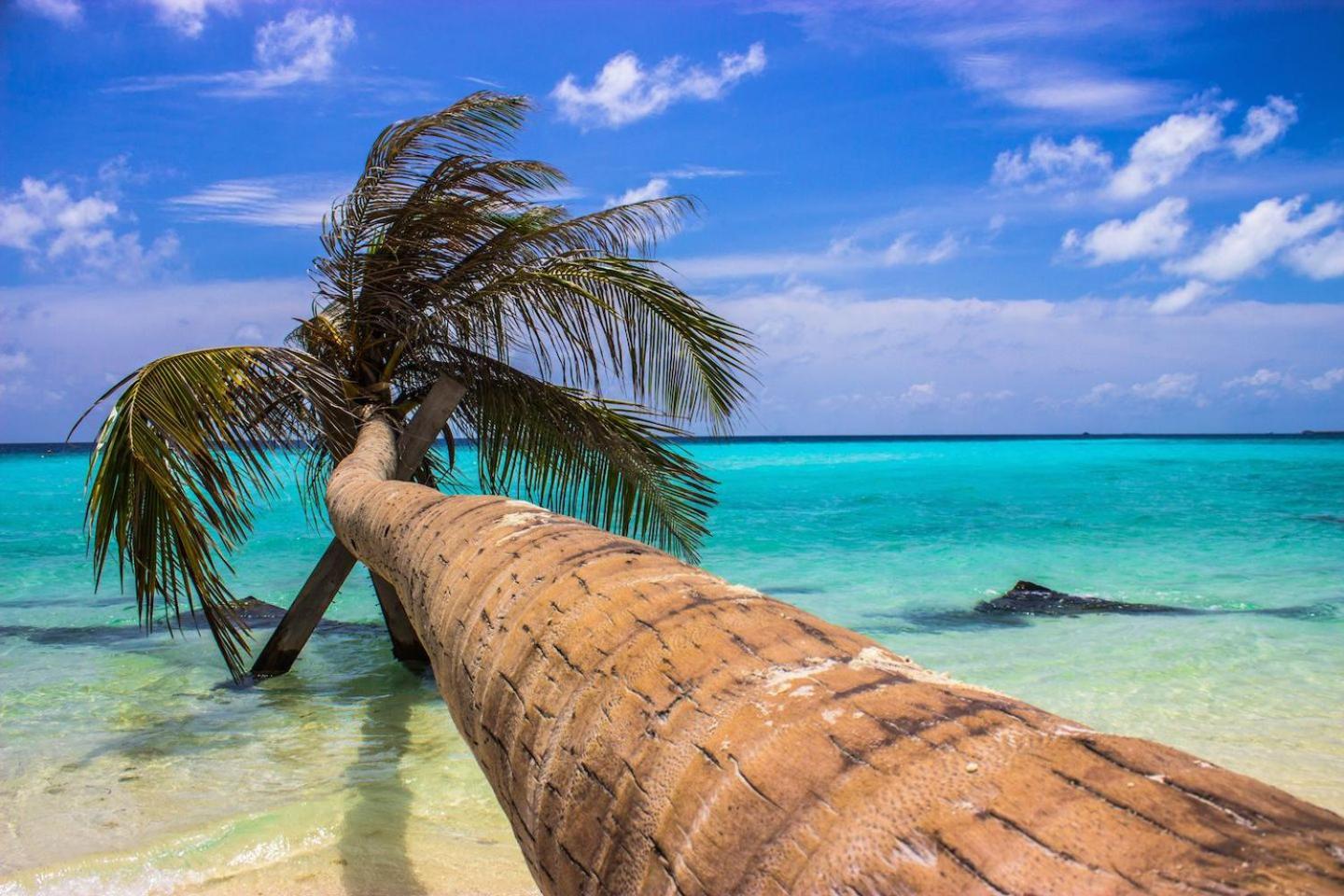 Ci-Ritorno View Otel Maafushi Dış mekan fotoğraf